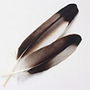 AYIP_Staff's profile picture. AYIP is a 12-month paid internship for Aboriginal youth residing in BC aged 29 & under, designed to develop professional skills & leadership capacity.