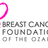 BCFO's profile image