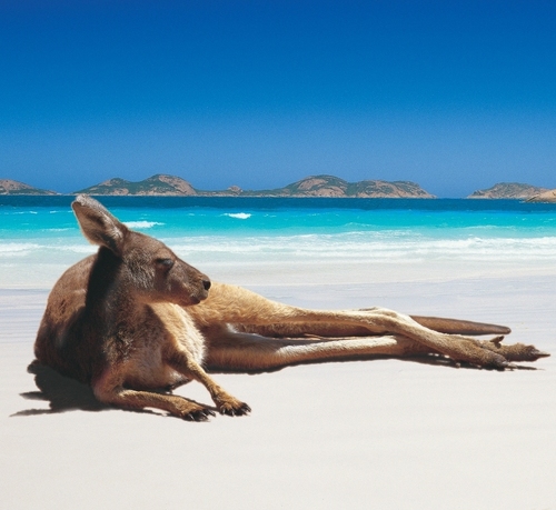 The friendly staff at the Esperance Visitor Centre can help you plan your perfect holiday at Australia's Best Beaches!