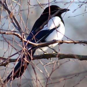 goteborgcity's profile picture. presservice, copywriter, webboptimering, PR-service, konsult inom turism
http://t.co/79xLx8ixVb