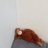 4eversleepye's profile image
