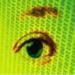 werengtomcat's profile picture. A just simple man and visit to /s http://t.co/XShf2JugOI 6667 #AUZS
