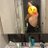 la2992swg's profile image