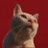 ppraeww_pj's profile image