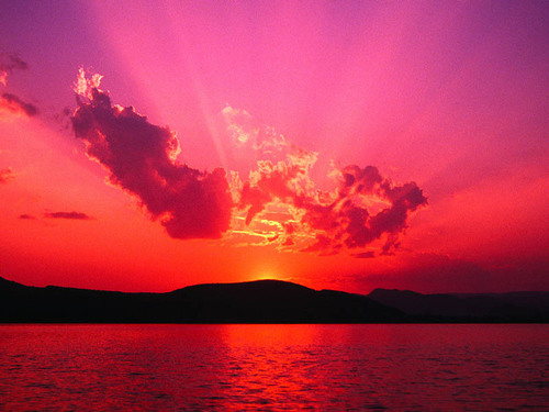 Dawn Profile