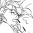kari0su_doodle's profile image