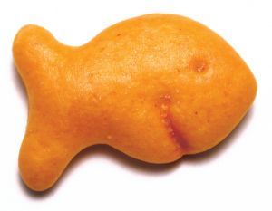 WE ARE GOLDFISH
NO ONE CAN COMPETE WITH OUR QUALITY
One of a kind greats
We are a classic
If you haven't tried us what the hell is wrong with U