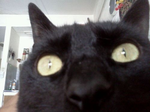 antidotocuervo's profile picture. Ebrio de vino y de soñar.
Azul y Rojo.