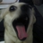 bdyount's profile image