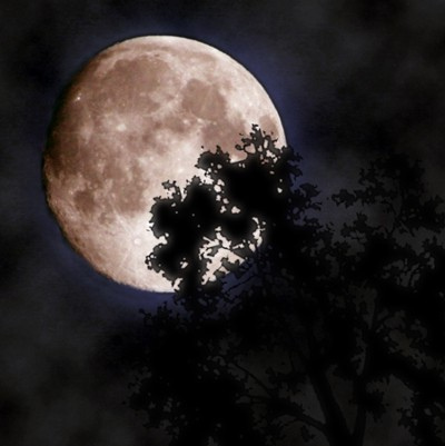 arahmnsf's profile picture. 