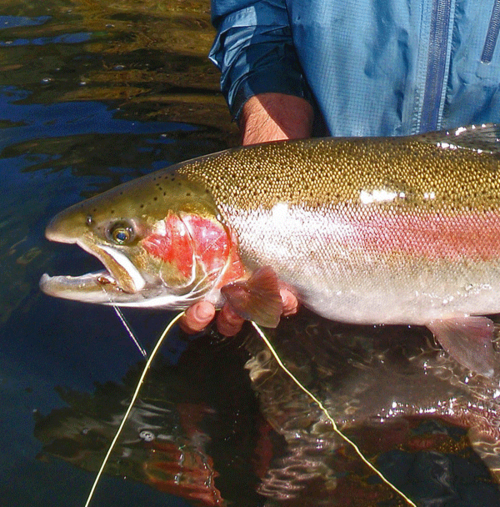 Fly fishing / water-based recreation / waterfront real estate. Focused on having fun on the waters of Northern California