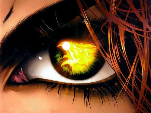 Phenixsnowboard's profile picture. Phénix Snowboards