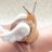 pawlightfull's profile image