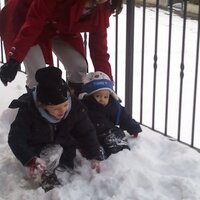 Cinzia Mambretti (@fragola103) 's Twitter Profile