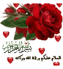 محمد كامل (@22MKAMEL) Twitter