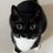 ollyonecat's profile image