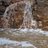roxana_pat20306's profile image