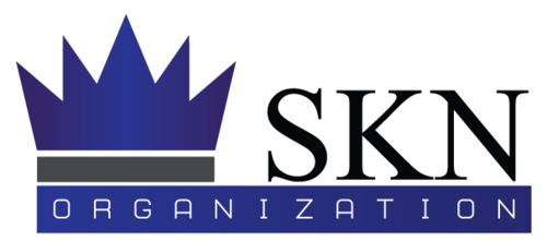 SKN Organization/India in its capacity as an IT Company and we deal in customized software, website development, online portal and dynamic website.
