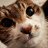 banyueta's profile image