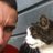 alastair_murray's profile image