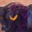 Salazardilf's profile image