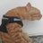 wachaucha7's profile image