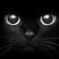 Kousaker_TRPG (@kousaker_trpg) 's Twitter Profile Photo Kousaker_TRPG (@kousaker_trpg) 's Twitter Profile Photo