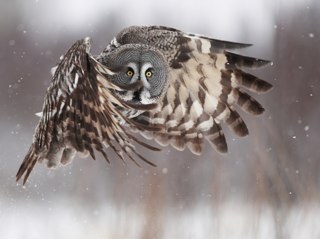 DrysdaleClaudia's profile picture. 