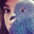 starvuffy's profile image