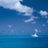 ramieez_manuel's profile image