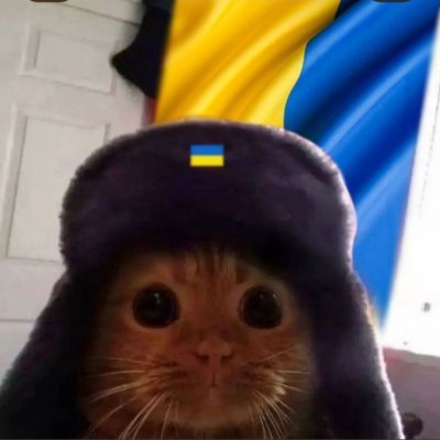 × Conlanger × Lingvistikkstudent × Autistisk × Flerspråklig × #langtwt #studytwt × ⬜🟥⬜ × 🇵🇸 🇺🇦 🏳️‍🌈 × He/Him