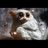 Ena_Hiyama's profile image