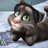 tommcaat's profile image