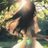EveSttela's profile image