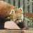 spanningoceans's profile image