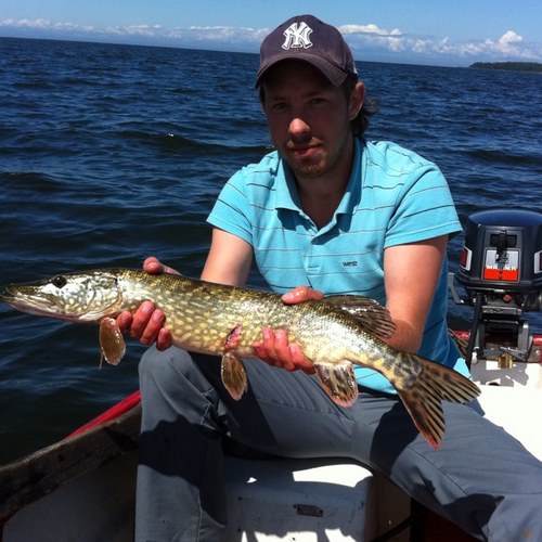 Hollka's profile picture. Lobb och Göskung.