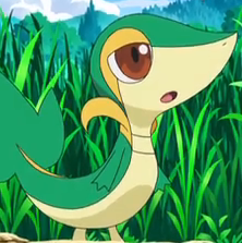 あおい ツタージャ好き好き Snivy Aoi Twitter