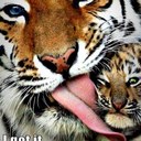 Diane Bateman - @diane_bateman - Twitter