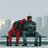 reddy14556's profile image
