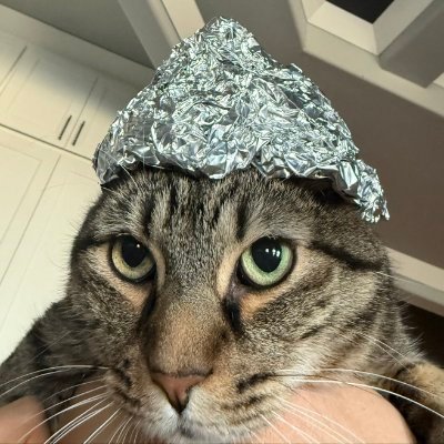 TinHat_Cat's profile image