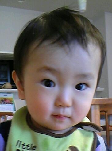 shinrocket's profile picture. Twitter初心者です。四十の手習いです。熱しやすく冷めやすいです。知りたがりです。夏休みの最後の日に泣きながら宿題をやってた口です。朝起きるの超苦手です。話を合わせるのは上手い方です。結構保守的です。車ネタ大好きです。いつもふわふわしてます。よろしゅうに。