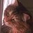 andyisnumb's profile image
