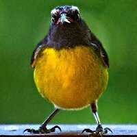 Paul Wunderlich (überwiegend woanders) (@pauwun) Twitter profile photo