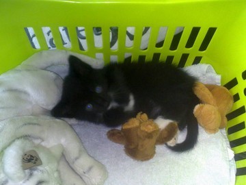 Spikie2010's profile picture. 