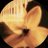 ai1ia_'s profile image