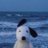 incognaenae's profile image