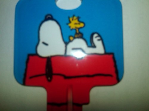 nutball2000's profile picture. Live your life to the fullest....