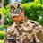 bubala_muragizi's profile image