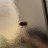 morcrd2's profile image