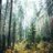 debrakeel8sbm's profile image